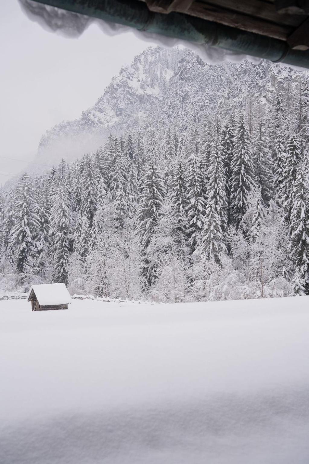 Fruehstueckspension Auer - Haus Kargl Schladming Exterior foto